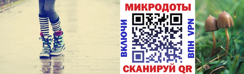 нарко площадка клад  Цимлянск  Псилоцибиновые грибы GOLDEN TEACHER 